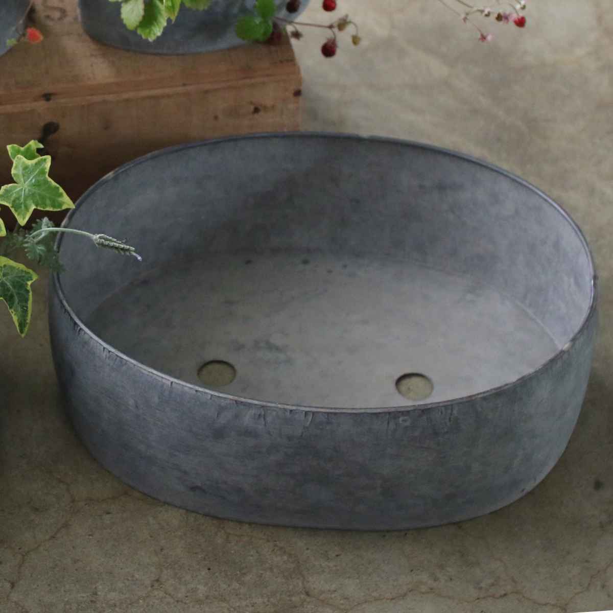 鉢 ブリキプランター オーバル XL （ 植木鉢 プランター プラントポット 植物用ポット 鉢カバー ブリキ鉢 植物 花 ドライフラワー 観葉植物 多肉植物 園芸 インテリア ブリキ 楕円 底穴 ）【39ショップ】