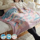 ブランケット 100×70cm ボア生地 クラシカル キッズ ( 遊べるブランケット ひざ掛け 膝掛け 毛布 ボア 北欧 おしゃれ キャップ アウトドア 子供 ベビー 防寒 あったか グッズ )【39ショップ】