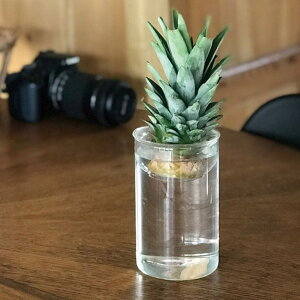 花瓶 BULB VASE 水栽培ガラスベース クリア ショート