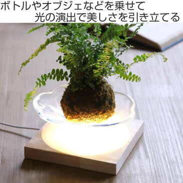 フラワーベース LEDディスプレイライト USBタイプ Mサイズ （ 照明 ライト ディスプレイライト ライトアップ 植物 花瓶 照らす オブジェ 卓上 間接照明 光る デスクライト テーブルライト 天然木 スイッチ 飾り インテリア おしゃれ ）【39ショップ】