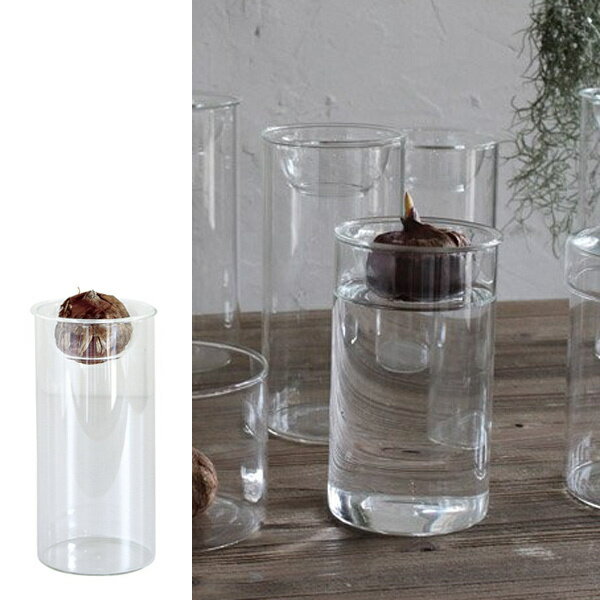 フラワーベース BULB VASE LONG （ 花瓶 バルブベース 鉢 球根 水栽培 ヒヤシンス ）のサムネイル