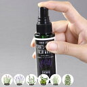 消臭・除菌スプレー 50ml 携帯用 PLANTS&ROOM FRESH WATER ( フレッシュウォーター 消臭スプレー アロマスプレー 除菌 抗菌 アルコ...