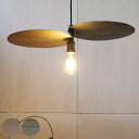 ペンダントライト 1灯 PHILIA2 LED電球 E26 ( 送料無料 照明 ライト LED 対応 電球付き シーリング用 天井照明 間接照明 シンプル おし...