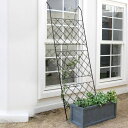 グリーンカーテン アイアン製グリーンカーテン アーガイル ( グリーンフェンス グリーン カーテン フェンス ガーデンフェンス おしゃれ ガーデニング スチール...