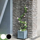 フェンス プランター台付フェンス スリムタイプ アーガイル ( ガーデンフェンス プランター プランターラック フラワーラック スチール おしゃれ 室内 屋外 ...