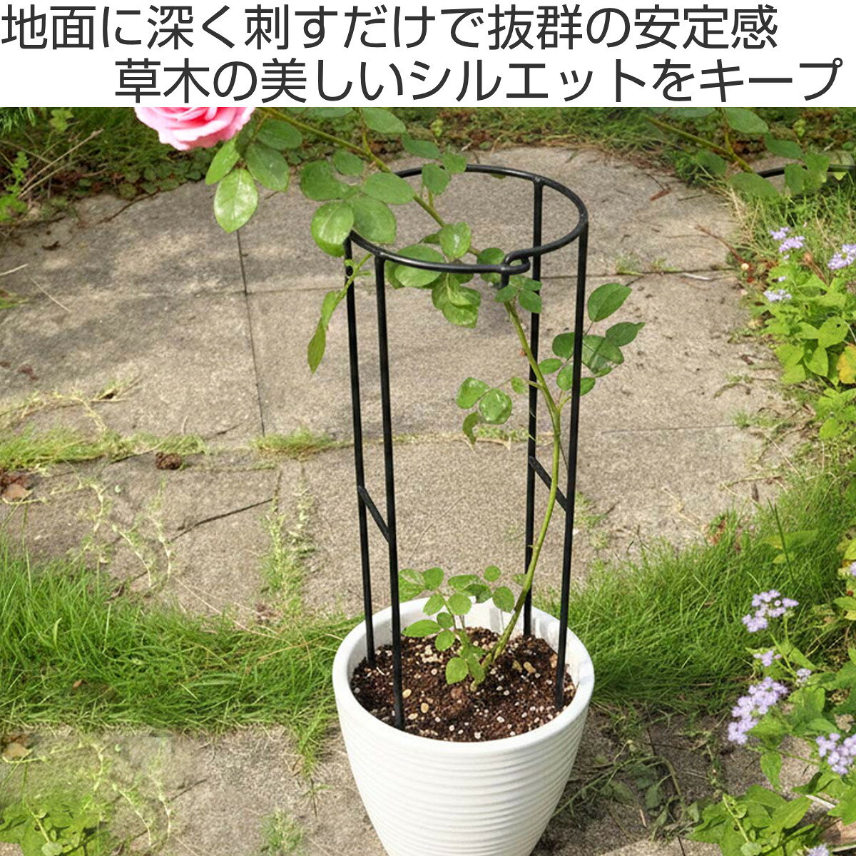 アイアン製植物サポーター幅18 16本セット （ 支柱 フラワースタンド 花壇 花 植物...