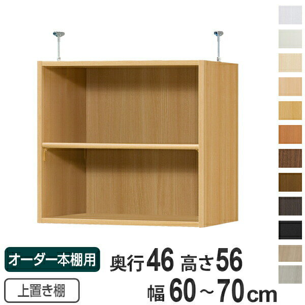 専用 上置き棚 標準棚板 type56 オーダー本棚 奥行46cm 幅60-70cm用 （ 送料無料 オーダーメイド 天井つっぱり 収納ラック 本棚 セミオーダー ） 【39ショップ】