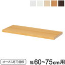 オープス専用 追加棚板 幅60〜75cm用 ( 送料無料 収納棚 棚板 可動棚 オーダー セミオーダー 追加棚 棚 本棚 収納棚 シェルフ 収納ラック オプショ...