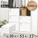 収納ケース Fits フィッツケース クローゼット M-30 2個セット ( フィッツ 衣装ケース クローゼット収納 収納 幅30 奥行53 高さ23 天馬 日...