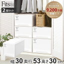 収納ケース Fits フィッツケース クローゼット L-30 2個セット ( フィッツ 衣装ケース クローゼット収納 収納 幅30 奥行53 高さ30 天馬 日...