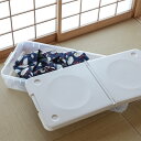 収納ボックス 45S ロング とっても便利箱 フタ付き ( 幅45×奥行98×高さ17cm ベッド下収納 ベッド下 収納 収納ケース 隙間収納 衣装ケース 薄型...