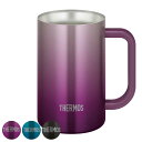 ビールジョッキ 600ml 真空断熱 ステンレス JDK-601C （ thermos 食洗機対応 ジョッキ ビールグラス ビアグラス ビール ハイボール お酒 アルコール 保温 保冷 真空二重構造 おしゃれ ）【39ショップ】