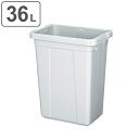 ゴミ箱 36L エコペール 本体のみ ( 36 リットル ダストボックス キッチン 大容量 プラスチック ごみ箱 角型 屑入れ 屑箱 資源ごみ 可燃ゴミ 不燃ゴ...