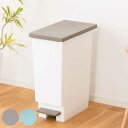 ゴミ箱 20L スリムペダル ふた付き ( 20リットル 20l ごみ箱 スリム ペダル キッチン 分別 ダストボックス 縦型 シンプル おしゃれ 分別ゴミ箱 ...