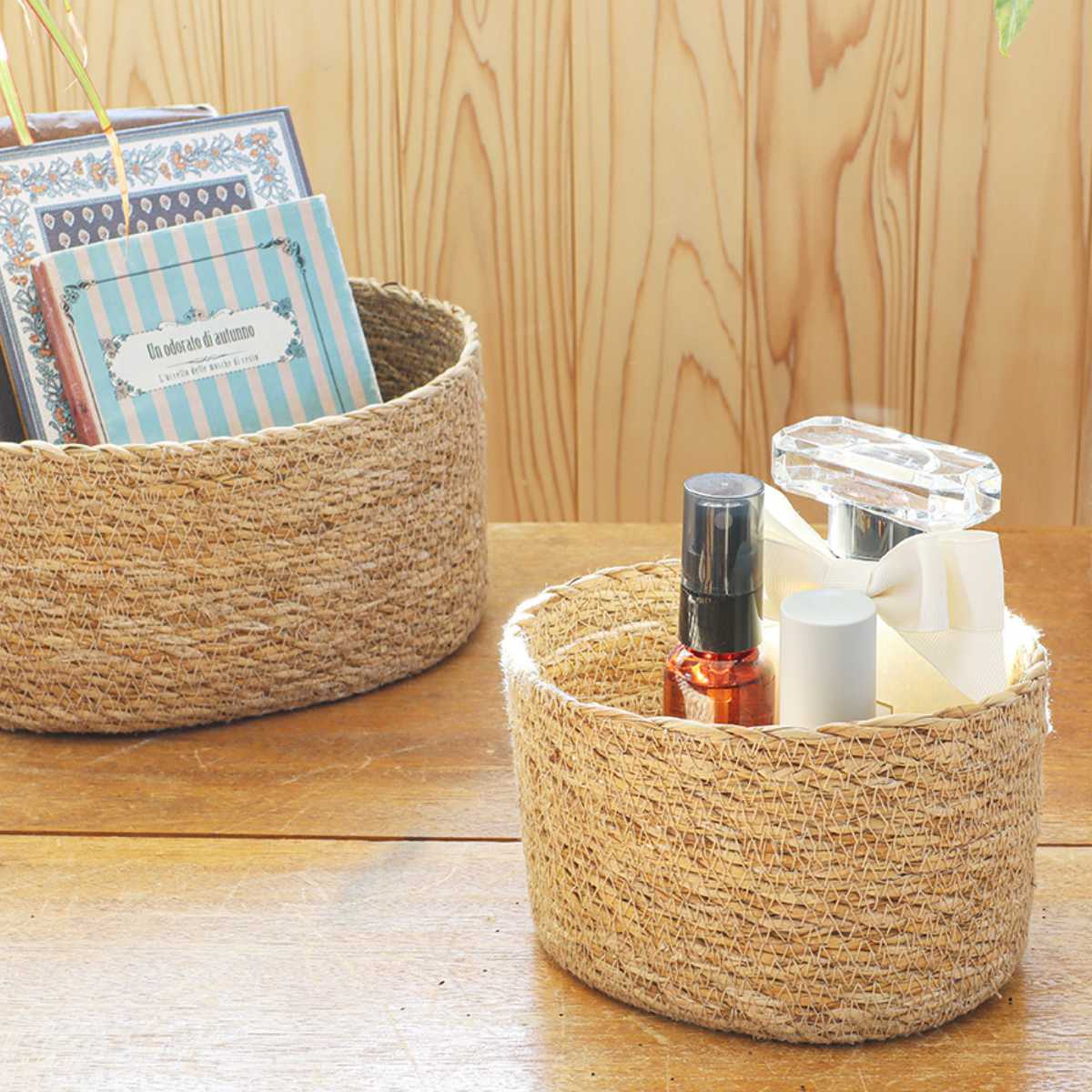 ���� �Х����å� �ʥ����륷�����饹 �����Х� �� ���� ��Ǽ ��ʪ��Ǽ �������饹 �ϥ�ɥᥤ�� �� ��ʪ������ ��Ǽ�Х����å� ���� �ʥ����� ���Ԥ� ...