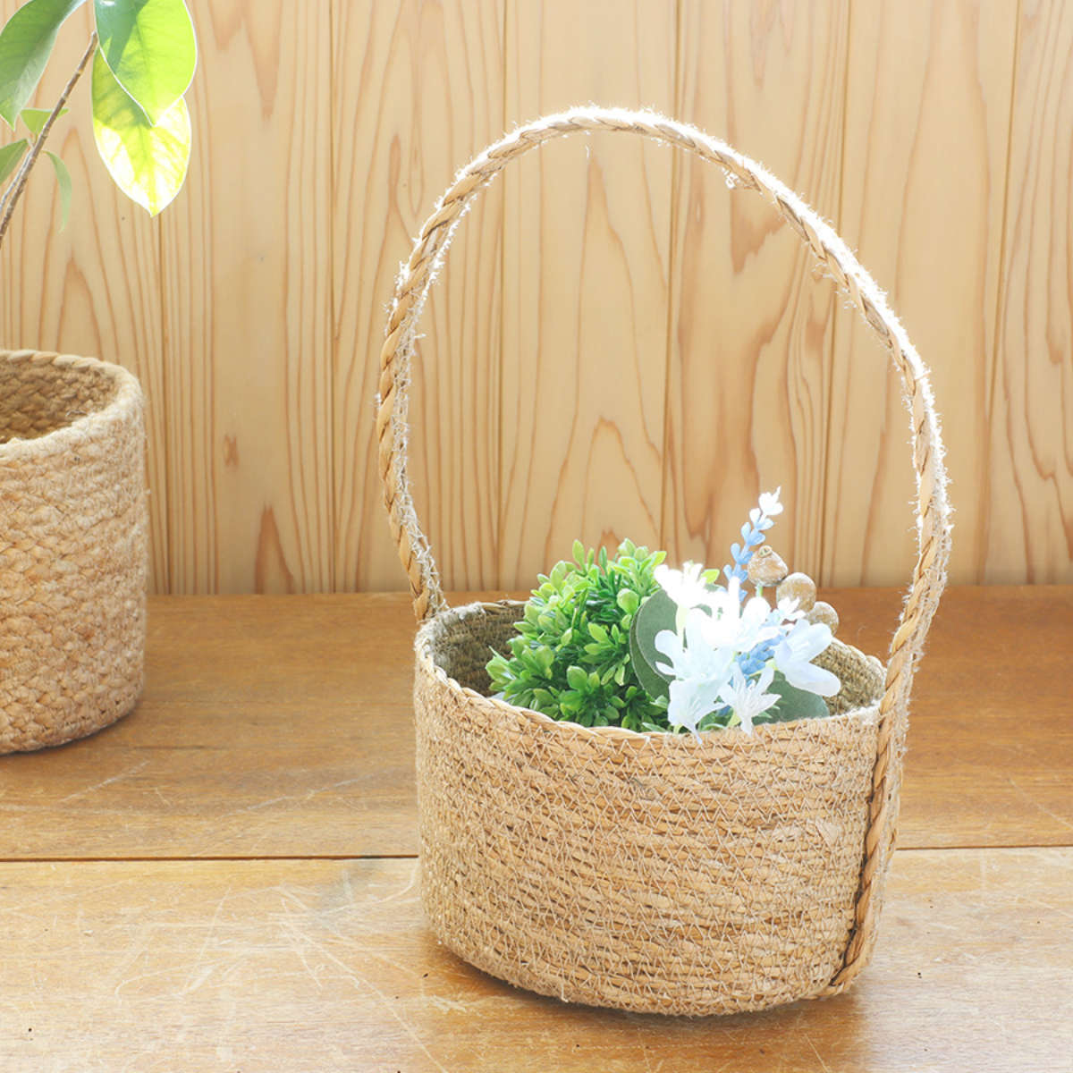 ���� �ϥ�ɥ�Х����å� �ʥ����륷�����饹 �����Х� �������դ� �� ���� ��Ǽ ��ʪ��Ǽ �������饹 �ϥ�ɥᥤ�� �� ��ʪ������ ��Ǽ�Х����å� ���� ...