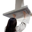 レンジフードフィルター RS 整流板用 1枚入 ( 日本製 レンジフィルター 換気扇フィルター 90cm×64cm 整流板 一面 レンジフードカバー 換気扇カバ...