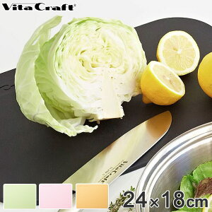 Vita Craft（ビタクラフト） まな板 24×18cm 日本製 抗菌 （ 俎板 マナイタ まないた 食洗機対応 抗菌まな板 カッティングボード 長方形 下ごしらえ キッチンツール ）【39ショップ】