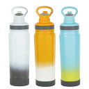 水筒 530ml フォルテック キャリングボトル ( ボトル 保冷 保冷専用 直飲み ハンドル付き ステンレス スポーツ ダイレクトボトル 直のみ ステンレスボ...