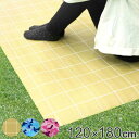 レジャーシート 虫よけ 120×180cm キャリーベルト付 ( ピクニックシート ピクニックマット レジャーマット 120cm 180cm 虫除け 大人数 4...