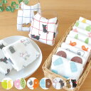 ふきん ふわふわふきん viv ( ヴィヴ 日本製 コットン 綿 綿100% 吸水 キッチンクロス タオル 布巾 フキン ガーゼ布巾 ガーゼフキン 食器用 台所...