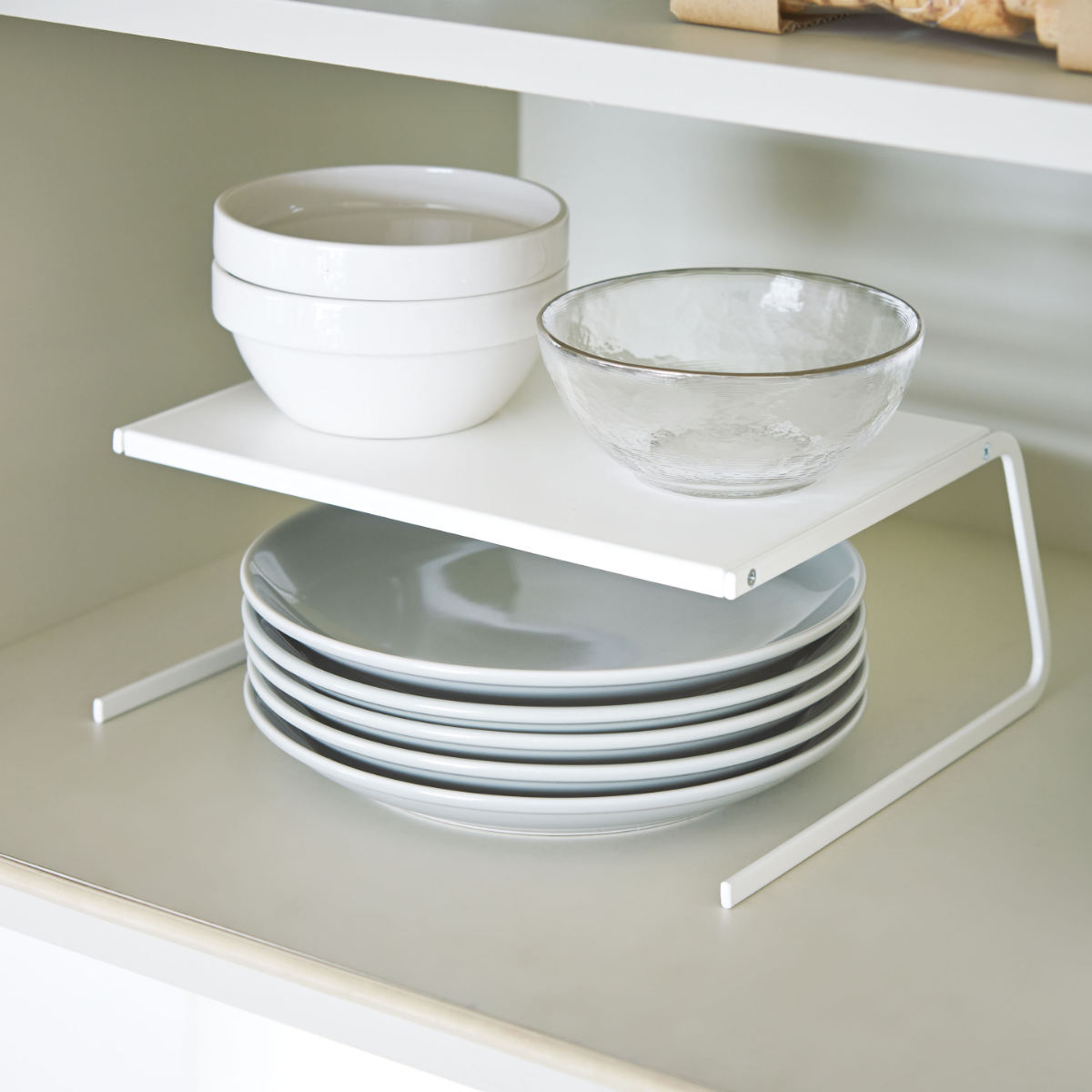 ����¶� Plate �ǥ��å��她�ȥ졼�� �ץ졼�� S �� 4903208029599 �ץ졼�ȥ��꡼�� �ǥ��å��� ���ȥ졼�� �ǥ��å����å� �ǥ��å���...