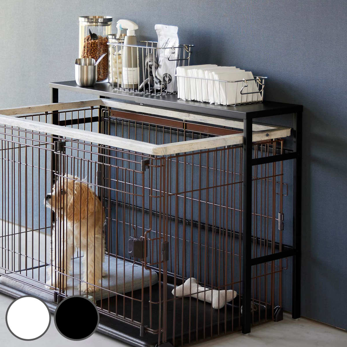 ����¶� nooks ���̥ڥåȥ��������å� �̡����� �� 4903208040860 ���������å� ���̼� �ڥå����� �ڥåȥ����� �ڥåȥ��������å�...