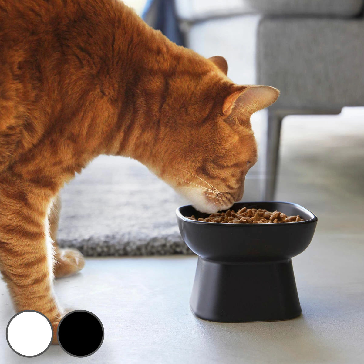 ����¶� nooks ���٤䤹���⤵ƫ��ڥåȥա��ɥܥ��� �̡����� �� 4903208017794 �ڥåȥܥ��� �Żҥ���б� �������б� ƫ�� �⤵������...