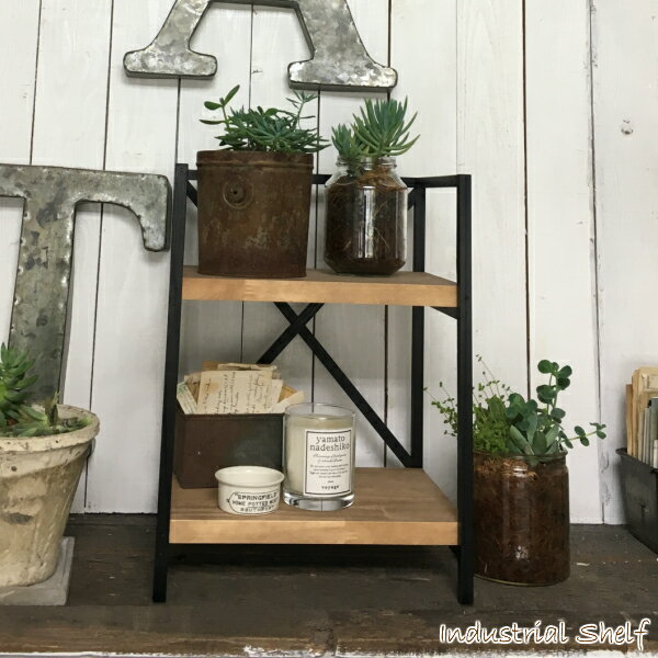 楽天市場】多肉植物 棚(インテリア・寝具・収納)の通販 楽天市場】多肉植物 棚(インテリア・寝具・収納)の通販