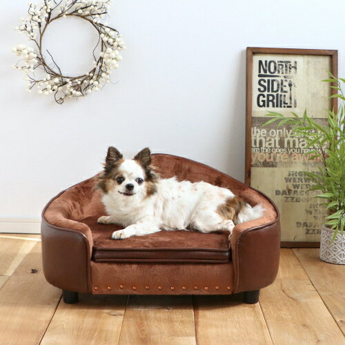 ��Ǽ�դ��ڥå��ѥ��ե� �٥å� PEPE