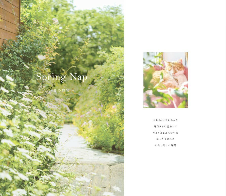 サンゲツ　Daily palette　Spring Nap　RE55024　RE55025　RE55026　RE55027　RE55028　RE55029　RE550..