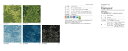 サンゲツ ツユジ F DT-60010 DT-60006 DT-60008 DT-60009 DT-60005