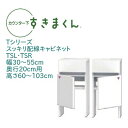 <SS期間中エントリーでポイント10倍>カウンター下 すきまくん 幅30〜55cm 奥行20cm スッキリ配線キャビネット TS カウンター下収納 開き扉 高さ...