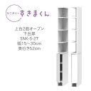 サニタリーすきまくん 幅15〜30cm 奥行52cm 高さ190cm 上台2面オープン 下台扉 2RTL 2LTR【代引き不可】