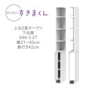 サニタリーすきまくん 幅31〜45cm 奥行42cm 高さ190cm 上台2面オープン 下台扉 2RTL 2LTR【代引き不可】