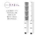 サニタリーすきまくん 幅15〜30cm 奥行42cm 高さ190cm 上台2面オープン 下台引出 3段 2RH 2LH【代引き不可】