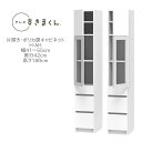 テレビすきまくん 幅41〜55cm 奥行42cm 高さ180cm 片開き ポリカ扉キャビネット H-AH【一部地域開梱設置無料】