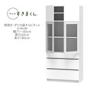 テレビすきまくん 幅71〜80cm 奥行42cm 高さ180cm 両開き ポリカ扉キャビネット H-AHW【一部地域開梱設置無料】【代引き不可】