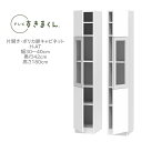 テレビすきまくん 幅30〜40cm 奥行42cm 高さ180cm 片開き ポリカ扉キャビネット H-AT【一部地域開梱設置無料】【代引き不可】