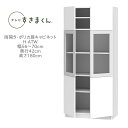 テレビすきまくん 幅56〜70cm 奥行42cm 高さ180cm 両開き ポリカ扉キャビネット H-ATW【一部地域開梱設置無料】【代引き不可】