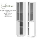 テレビすきまくん 幅30〜40cm 奥行42cm 高さ155cm 片開き ポリカ扉キャビネット M-AT【一部地域開梱設置無料】【代引き不可】
