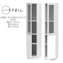 テレビすきまくん 幅41〜55cm 奥行42cm 高さ155cm 片開き ポリカ扉キャビネット M-AT【一部地域開梱設置無料】【代引き不可】