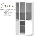 テレビすきまくん 幅71〜80cm 奥行42cm 高さ155cm 両開き ポリカ扉キャビネット M-ATW【一部地域開梱設置無料】【代引き不可】