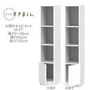 テレビすきまくん 幅30〜40cm 奥行42cm 高さ155cm 片開きキャビネット M-PT【代引き不可】