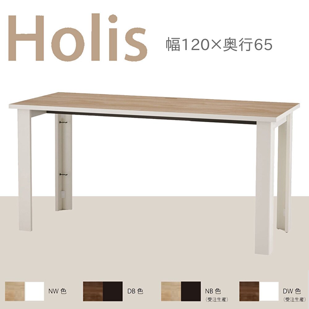 valvanne バルバーニ Holis ホリス デスク DD-H120E 幅120 奥行65 高さ72 書斎 在宅 机 PCデスク パソコンデスク 4色対応 国産 日本製