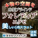 【送料無料】【ポイント最大27倍】穴がない美しいスラットで高遮蔽・高遮光・木製ブラインド(フォレティアエグゼ)