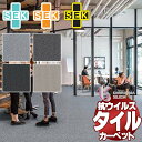 タイルカーペット SEKマークの安全性基準に合格した抗菌・抗ウイルス加工 カラーバンク カラーソリューション CB1640 全厚6.5mm 寸法50×50cm 20枚入り/ケース
