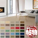 カーペット スミノエ オーダー 1cm刻み カット無料 送料無料 ウールレックス WR マット(横100×縦100cm)ロック加工品