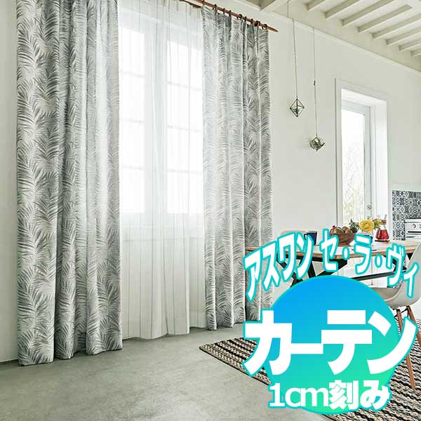 カーテン プレーンシェード アスワン セラヴィ C'estlavie in Natural E9013・E9014 ハイグレード縫製 約1.5倍ヒダ 100×120cmまで