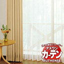 【生地のみの購入! ※1m以上10cm単位で購入可能】 アスワン オーダーカーテン オーセンス ビアンカ300 / C1349L・C1350L 生地巾300cm